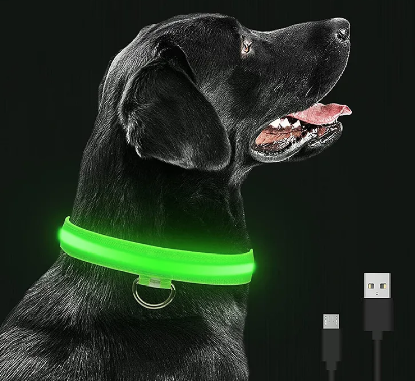 Collier de chien lumineux à LED aste, collier de chien Shoous étanche