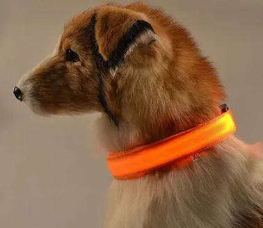 La sécurité avant tout avec un collier de chien lumineux  Découvrez pourquoi investir dans un collier lumineux est crucial pour la sécurité de votre chien la nuit. Les avantages incontestables pour éviter les accidents de circulation.