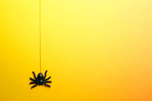 en exclusivité sur LaBoutike ! 🕷️🎮  ✔️ Contrôlez cette araignée terrifiante avec une télécommande facile à utiliser. ✔️ Parfait pour des heures d'excitation et d'amusement en famille. ✔️ Ajoutez une touche d'épouvante à vos jeux et vos fêtes d'Halloween.  Explorez notre gamme de jouets télécommandés sur LaBoutike dès aujourd'hui !  #JouetAraignéeTélécommandée #JouetsEffrayants #LaBoutike #DivertissementEnFamille #HalloweenFun #Épouvante #Télécommande #JeuxAmusants #ContrôleÀDistance